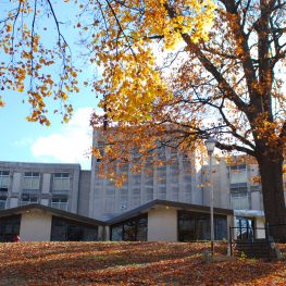 cooking summer camp in DC!